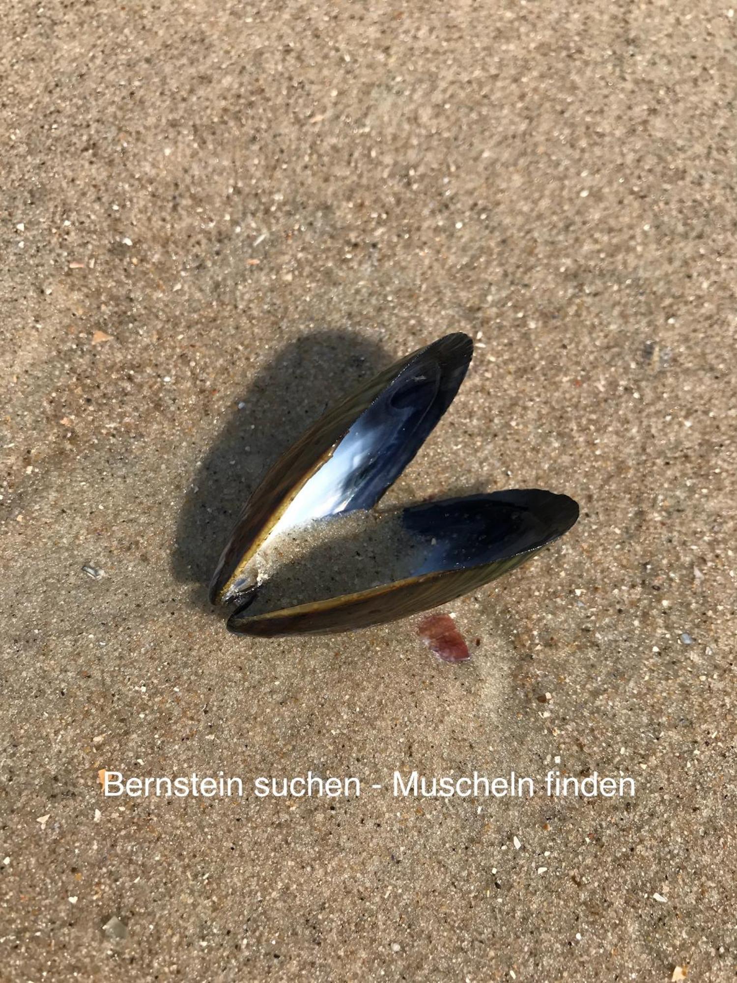 Eschen'S Allee Aurich Buitenkant foto